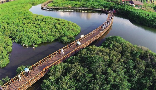 巴西老城区炭火蛙锅