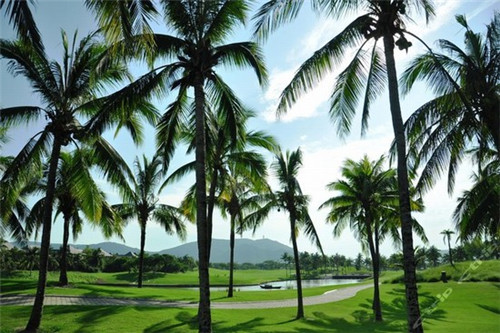 红色岁月串串香