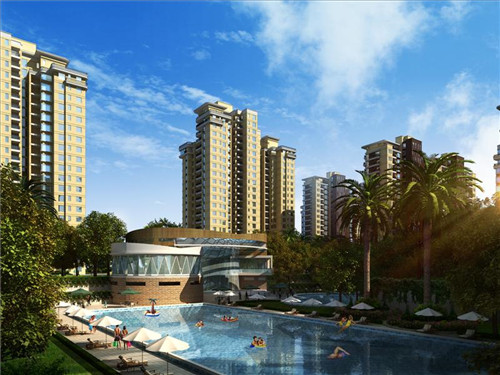 阿婉捞汁小海鲜