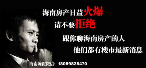 DM分米鸡炸鸡