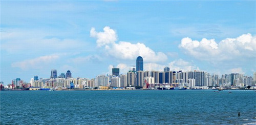 辣炒鸡心圆葱怎么炒好吃（圆葱炒鸡心怎么做好吃）