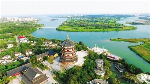 混合生物的小游戏叫什么（混合生物酚是什么）